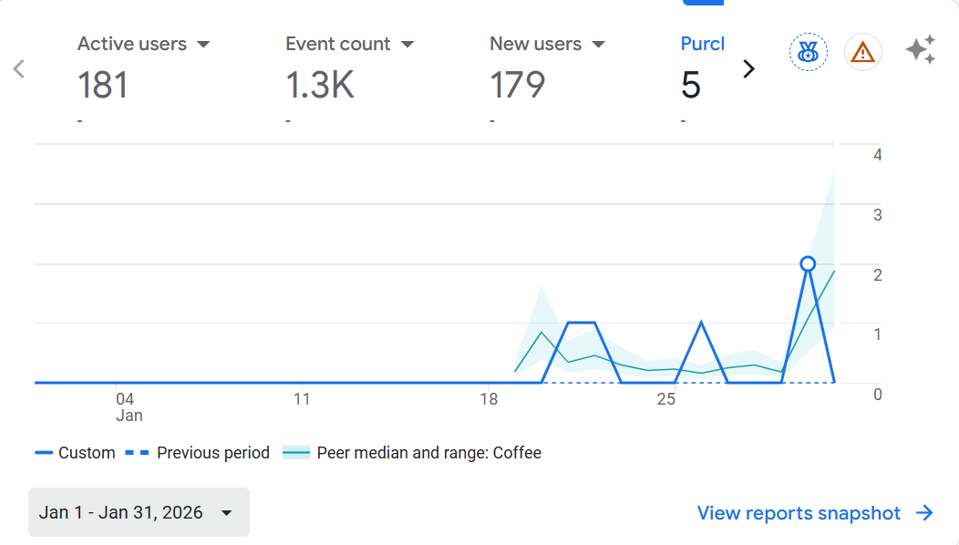 Creation Coffee Google Analytics January 2026 - 181 active users
